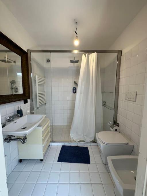 Nuovo Loft A Trastevere Con Super Terrazzo *